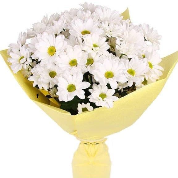 Ромашки от 4 300 руб.